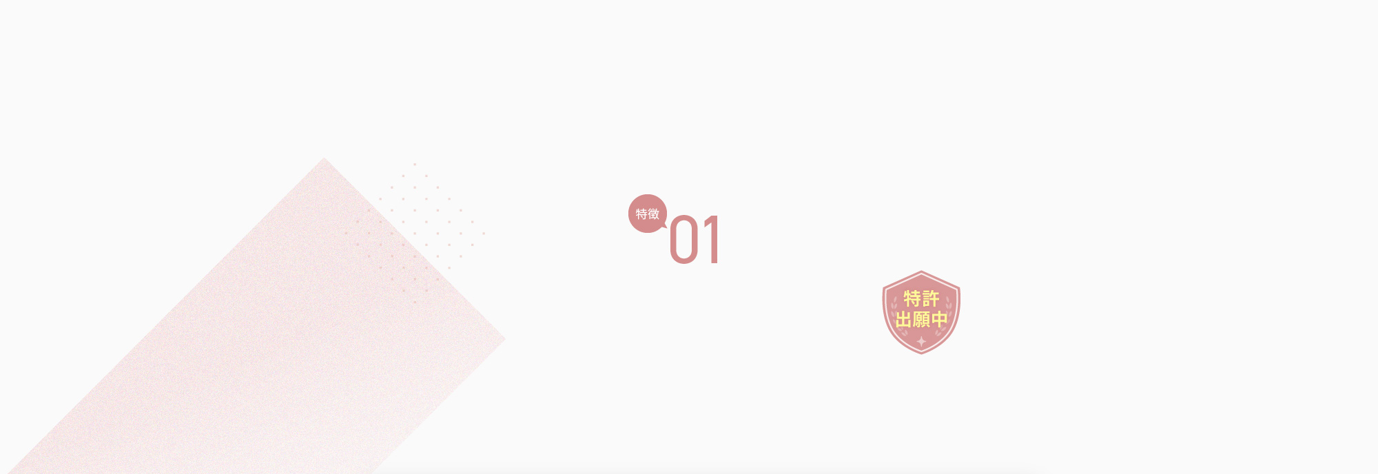 特徴01 特許出願中